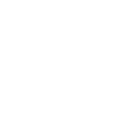reporter